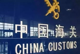 海关总署：前11个月我国铁矿砂、煤和天然气进口量增加