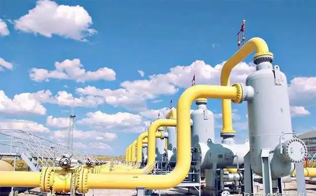 价格监测中心召开2025-2026年度供暖季天然气供需及价格形势专家座谈会