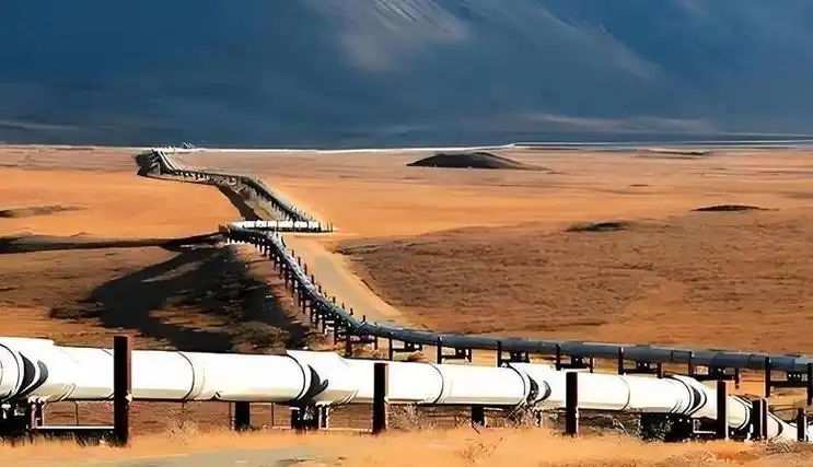 中俄能源合作不止于油气！下一个增长点在哪？