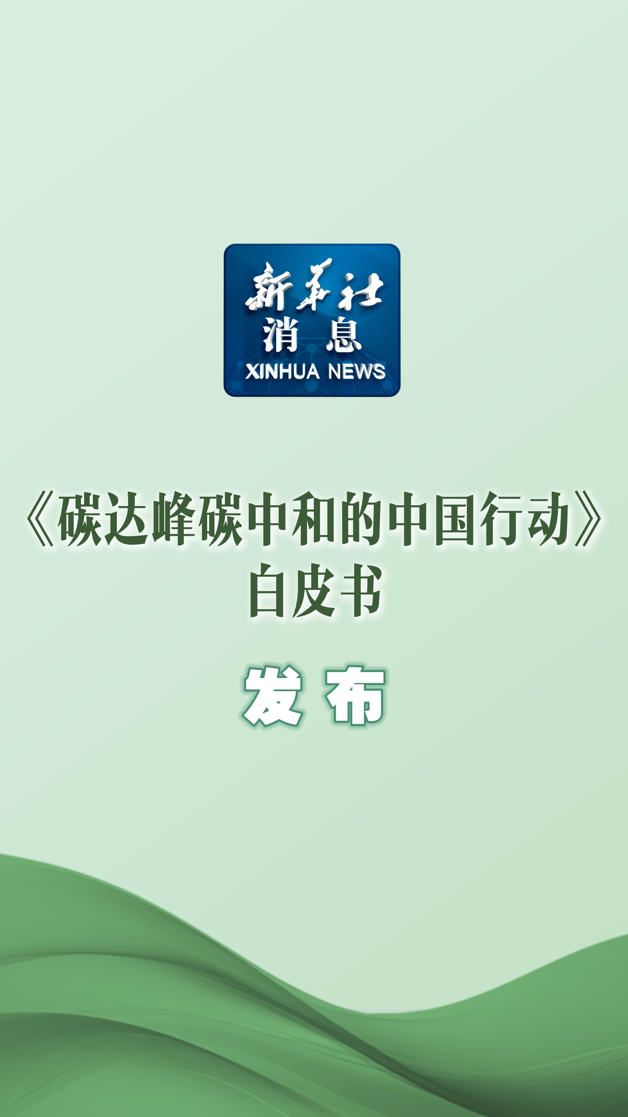 碳达峰碳中和的中国行动白皮书｜碳达峰碳中和的中国行动