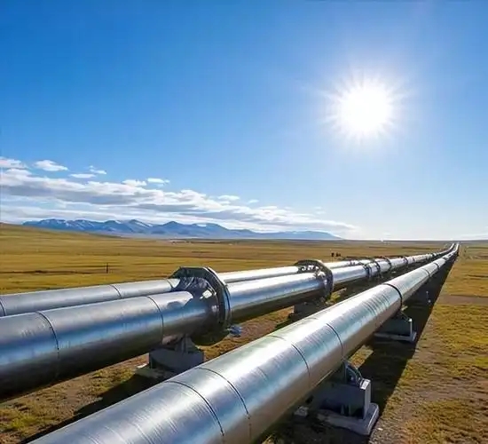 “十五五”这些重要部署 能量十足