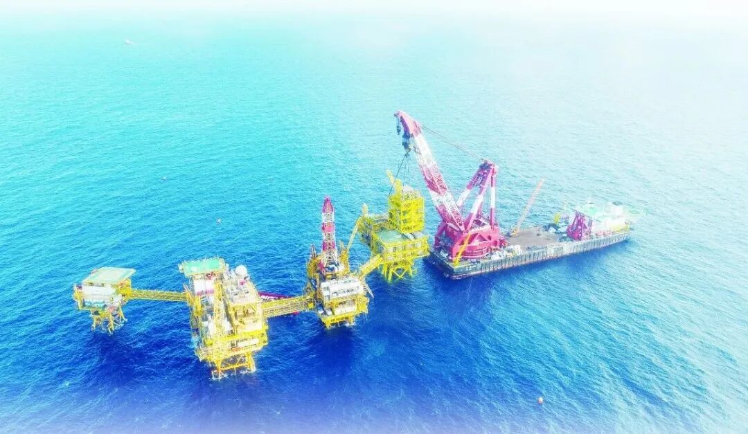 “三桶油”开辟差异化发展新路径