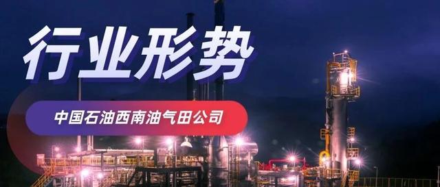 川渝地区天然气行业发展报告