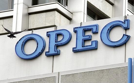 OPEC+1月减产执行率约为83%